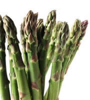ASPARAGUS KG