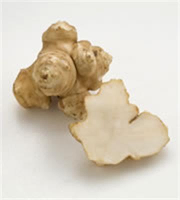 ARTICHOKE JERUSALEM KG