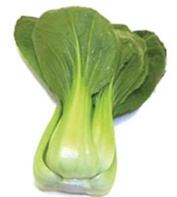 BOK CHOY SHANGHAI KG