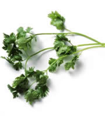 CORIANDER 100GM BAG