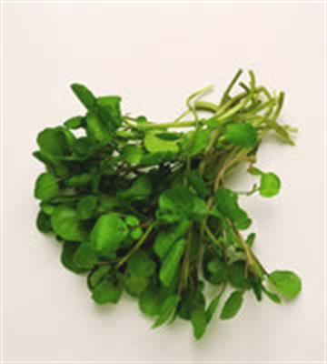 WATERCRESS 200-250GM BAG