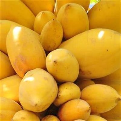 PAW PAW (PAPAYA) EACH