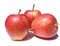APPLE MEDIUM TAG 1 KG