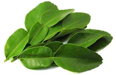 KAFFIR LIME LEAVES 100GM BAG
