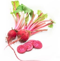 BEETROOT BABY CHIOGGIA 500GM