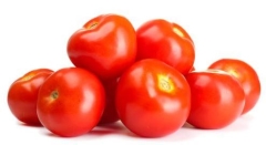 TOMATO 50 60 10KG BOX